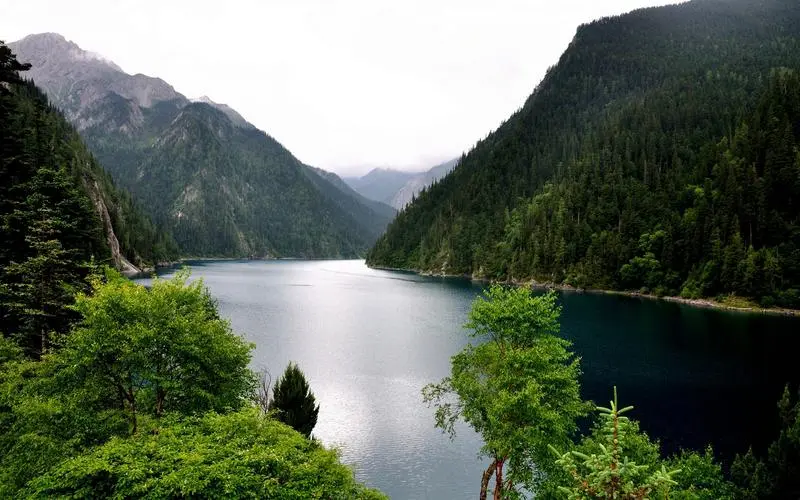 自动化智慧制造